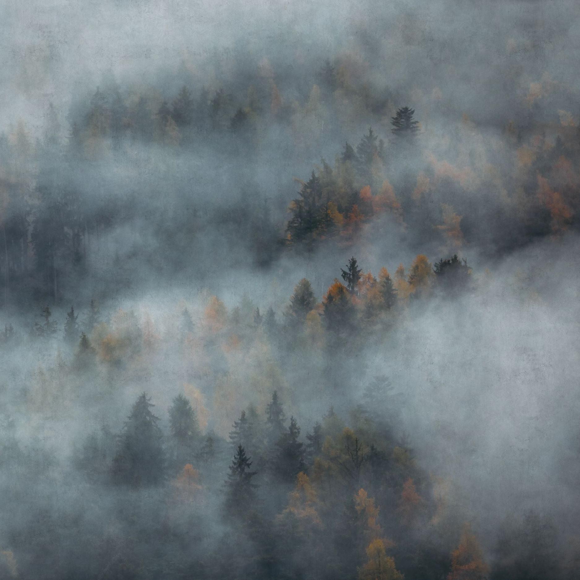 Mystic Wallpaper